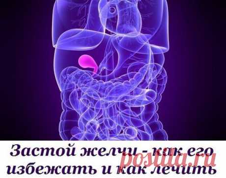 Застой желчи - как его избежать и как лечить | Женский журнал