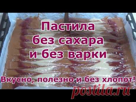 Пастила без варки и без сахара. Вкусно и полезно! Домашний простой рецепт быстро и без всяких хлопот