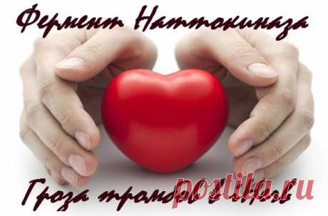 Фермент Наттокиназа - гроза тромбов в iHerb
https://iherb.co/uE2wYFw
Мощный фибринолитический фермент, который всасывается в кровь, повышает её текучесть и оказывает мощное системное действие на организм. Широко используется для профилактики и терапии сердечно-сосудистых заболеваний.

 Показания к применению:
Показать полностью…