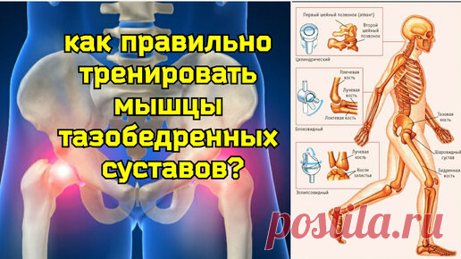 Укрепляя тазобедренные суставы - укрепляем поясницу. Уникальные упражнения для средней ягодичной мышцы | Причины Здоровья | Дзен