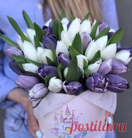 ღГороскоп на неделю: &quot;Все у всех получится!&quot;