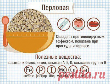 Вы едите каши? А знаете ли Вы почему они полезны и как их употребление может повлиять на организм?
