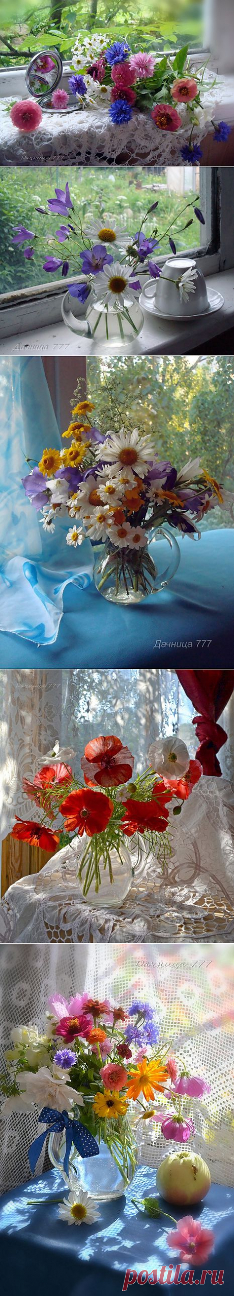 Натюрморты с солнышком! Доброе утро, всем!.