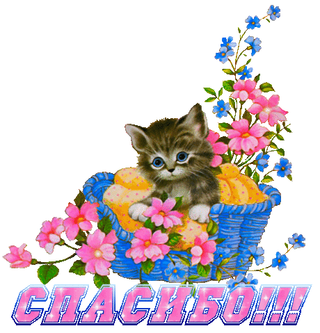 Открытка анимация спасибо благодарность корзинка котенок цветы Анимационные открытки с надписями Спасибо, Благодарю Открытки