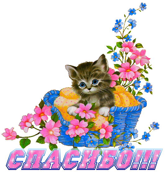 Открытка анимация спасибо благодарность корзинка котенок цветы Анимационные открытки с надписями Спасибо, Благодарю Открытки