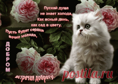 Какие дни рождения не отмечают....