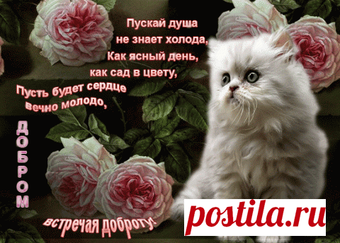 Какие дни рождения не отмечают....