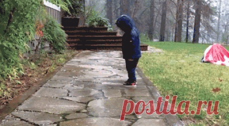giphy.gif (400×220)