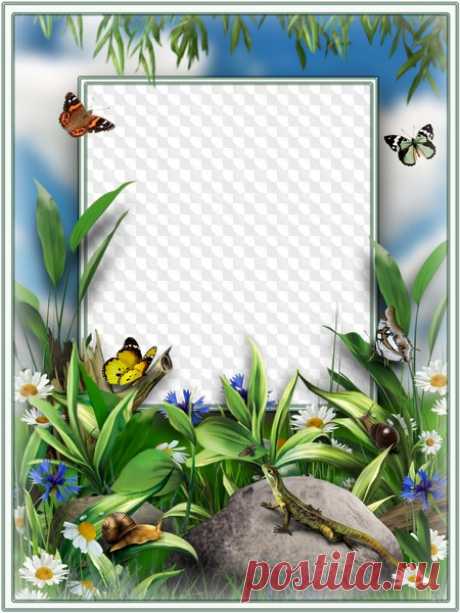 Nature, summer, photo frame. Transparent PNG Frame, PSD Layered Photo frame template, Download.