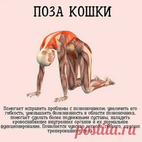 Что нужно делать, чтобы похудеть? — Разное | OK.RU