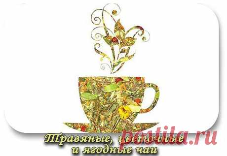 Травяные, цветочные и ягодные чаи – когда их пить и чем они полезны?