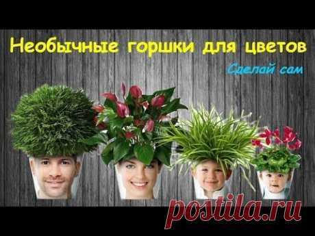 Необычные горшки для растений и цветов. Мастер-класс.