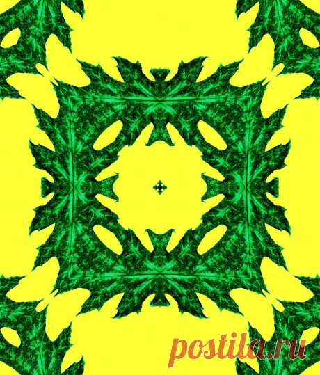 Bright Colored Ornament  Free Stock Photo HD - Public Domain Pictures