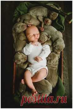 Baby Will and a wagon of puppies. :) Just Rhonda Photography | Southern Alberta