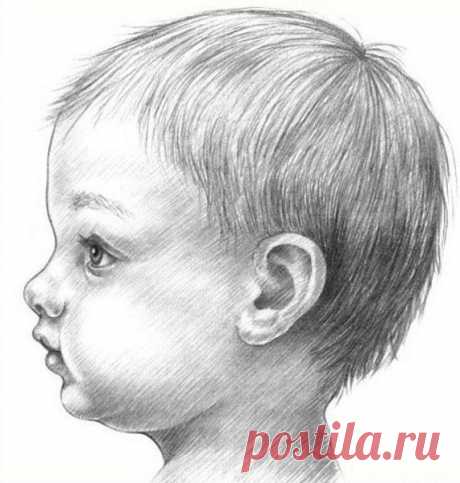 ​Рисуем голову младенца
