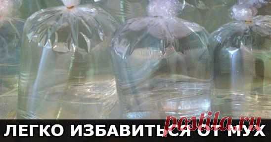 (4) Одноклассники