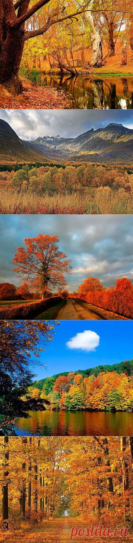 Осенняя природа картинки (47 фото) видео