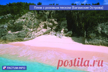 Уникальный пляж Пинк Сэндс (Pink Sands Beach), расположенный на острове Харбор на Багамских Островах. Благодаря чистейшей воде бирюзового цвета и песку цвета клубничного мороженого, пляж стал самым популярным местом для отдыха → https://factum-info.net/interesnoe/foto/288-samye-neobychnye-plyazhi-mira #пляж #океан #розовый #песок #Харбор #Багамскиеострова #Багамы #путешествие #путешествия #природа #туризм #отдых #вокругсвета #красивыеместа #интересно #факты #FactumInfo #nature #travel