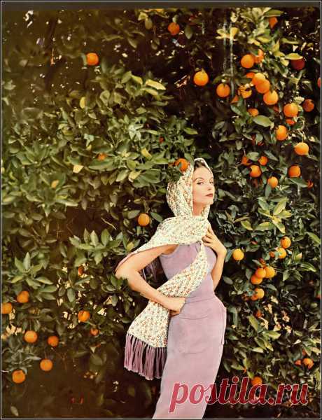 Anne St. Marie, photo by Tom Palumbo, Harper's Bazaar, November 1954