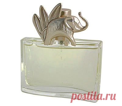 Купить Jungle Elephant парфюмерная вода в интернет магазине за 2416 р.