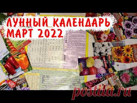 ЧТО ПОСЕЯТЬ В МАРТЕ? Как спланировать посевы? Лунный посевной календарь огородника март 2022