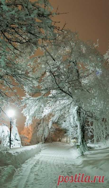 Snowy night, Russia | Winter