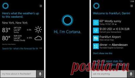 Microsoft может выпустить Cortana для других мобильных платформ / Интересное в IT