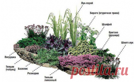Формируем клумбу