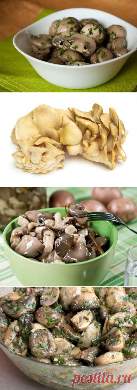 Маринуем грибочки для праздничного стола: шампиньоны и вешенки / Простые рецепты