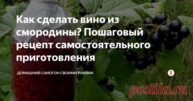 Рецепт домашнего вина черной смородины