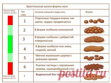 О чем расскажет ваш стул? Виды кала при заболеваниях кишечника