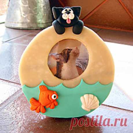 Cat hanging on a fish bowl picture frame | Flickr - Photo Sharing!