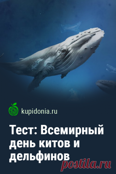 Тест на Всемирный день китов и дельфинов. Тест на Всемирный день китов и дельфинов посвящен празднику, который отмечается 23 июля. Сегодня мы предлагаем вам проверить свои знания об этих млекопитающих. Для этого мы подготовили 20 интересных вопросов.