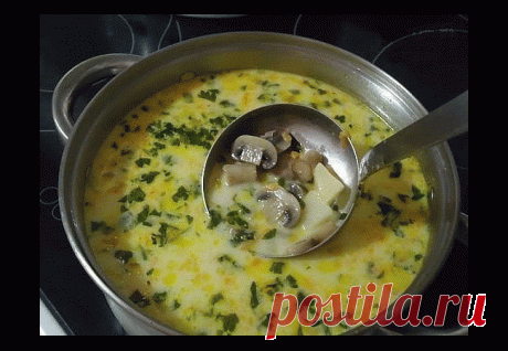 Самый вкусный грибной сливочный суп ! 
Сочетание сливок, плавленого сыра и грибов — так вкусно, просто пальчики оближешь
Ингредиенты:
шампиньоны — 200 грамм;
картошка — 2 штуки;
сливки (можно молоко) — 100 грамм;
морковка — 1 штука;
сырок плавленый — 70-100 грамм;
лук репчатый — 1 штука;
укроп — 1 пучок;
соль — по вкусу;перец — по вкусу;
растительное масло для жарки.
Чтобы готовить грибной сливочный суп, сначала необходимо вскипятить в кастрюльке два литра воды.Пока водичка нагревается, подгот