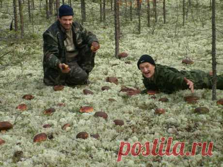 (99) Одноклассники