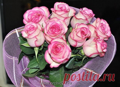 Мой Мир@Mail.Ru