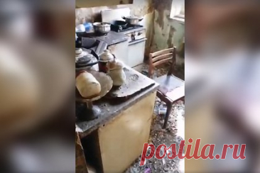Населенная крысами-мангустами квартира россиянки попала на видео