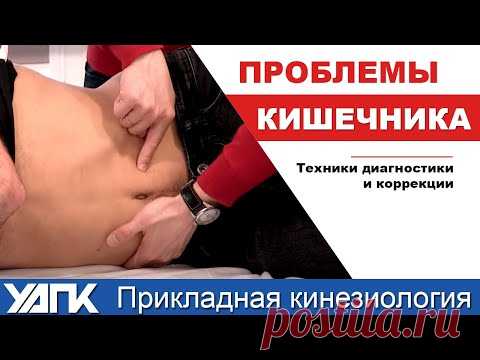 Техника работы с тонким кишечником (М.Савиных) - YouTube