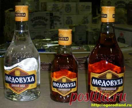 Как приготовить медовуху в домашних условиях