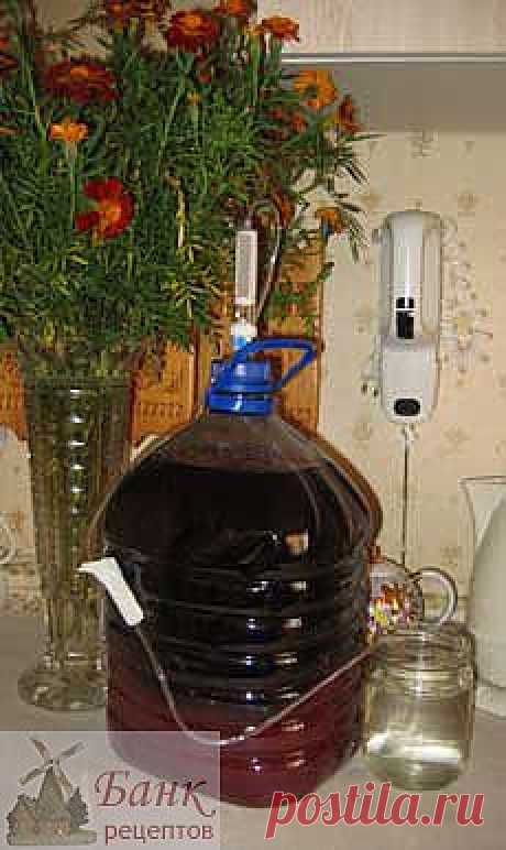 Рецепт домашнего вина из черноплодной рябины.