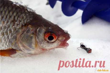 Снасть для зимней рыбалки | Охотник и Рыболов