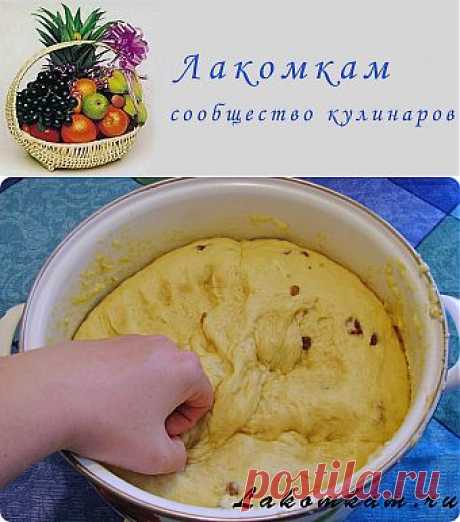 Ванильный сдобный кекс с изюмом / Рецепты с фото. Простые домашние рецепты на каждый день.