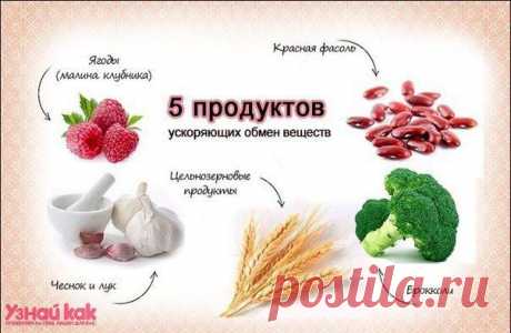 (+1) тема - Ускоренный обмен веществ | Полезные советы