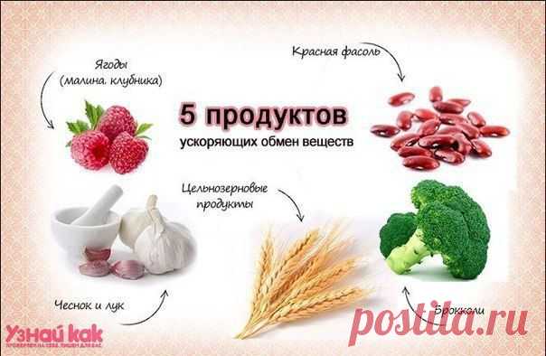 (+1) тема - Ускоренный обмен веществ | Полезные советы