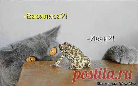 ВОТ ТАК ВСТРЕЧА...