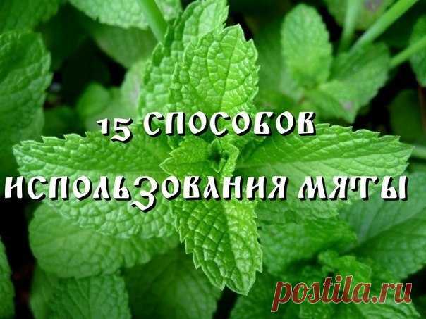 15 СПОСОБОВ ИСПОЛЬЗОВАНИЯ МЯТЫ.