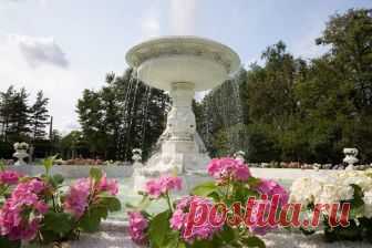 (1) Facebook