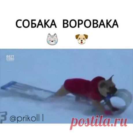 ・
Поставь лайк👍
・
 Подпишись на @prikoll1
・
Отмечайте друзей/подруг👇
・