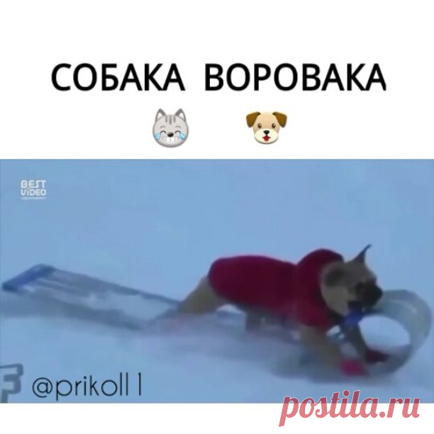・
Поставь лайк👍
・
 Подпишись на @prikoll1
・
Отмечайте друзей/подруг👇
・