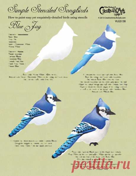 Blue Jay Worksheet